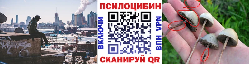 купить закладку  Пенза  Галлюциногенные грибы Cubensis 