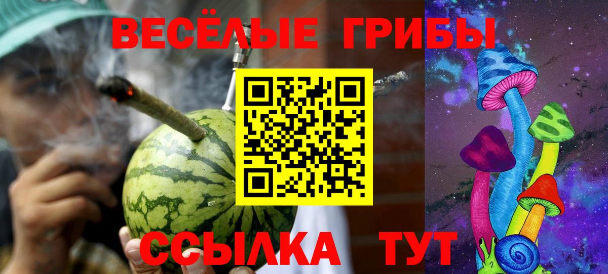 сколько стоит  Псилоцибиновые грибы мухоморы  Вход с VPN  Пенза 